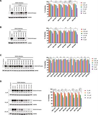 Inhibition of coronavirus HCoV-OC43 by targeting the eIF4F complex